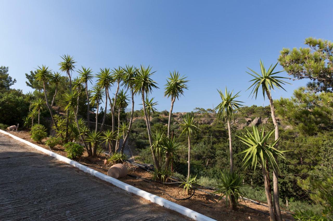 Ferma Hill Apartments Bagian luar foto